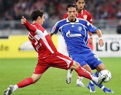 合理利用免 合理利用免